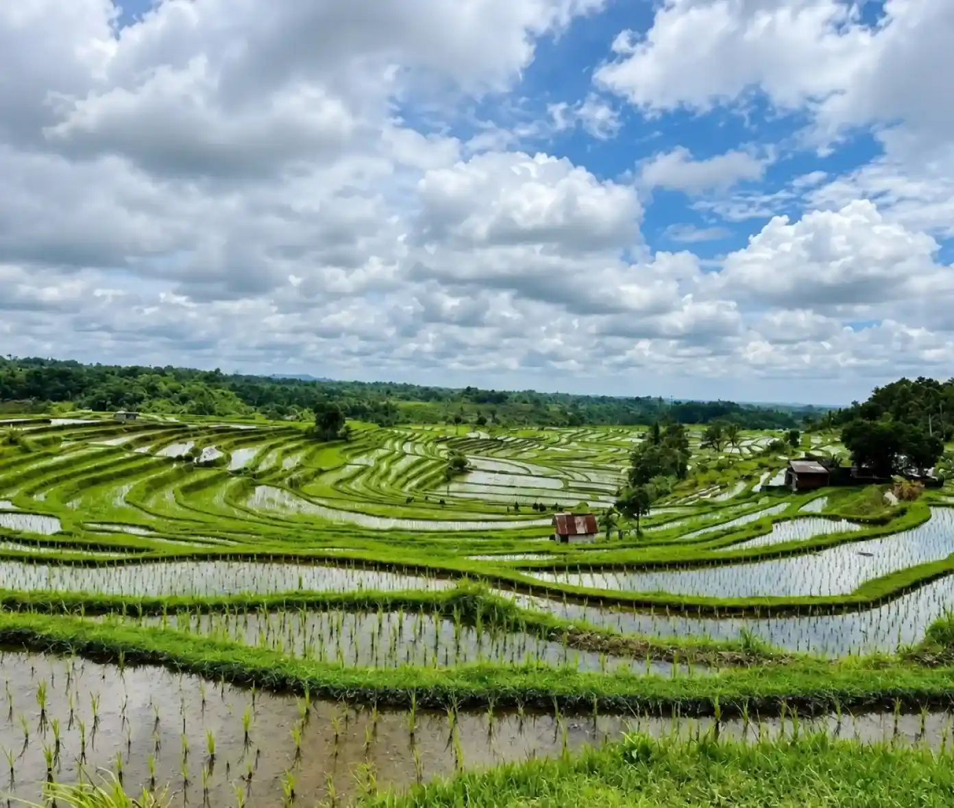 Saluran irigasi subak yang mengalir di antara sawah berundak